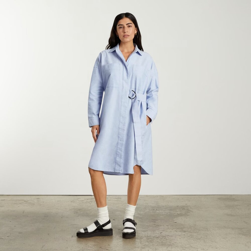 NWOT Everlane Oxford Dress Cotton Chambray Light Blue XS - Picture 2 of 8